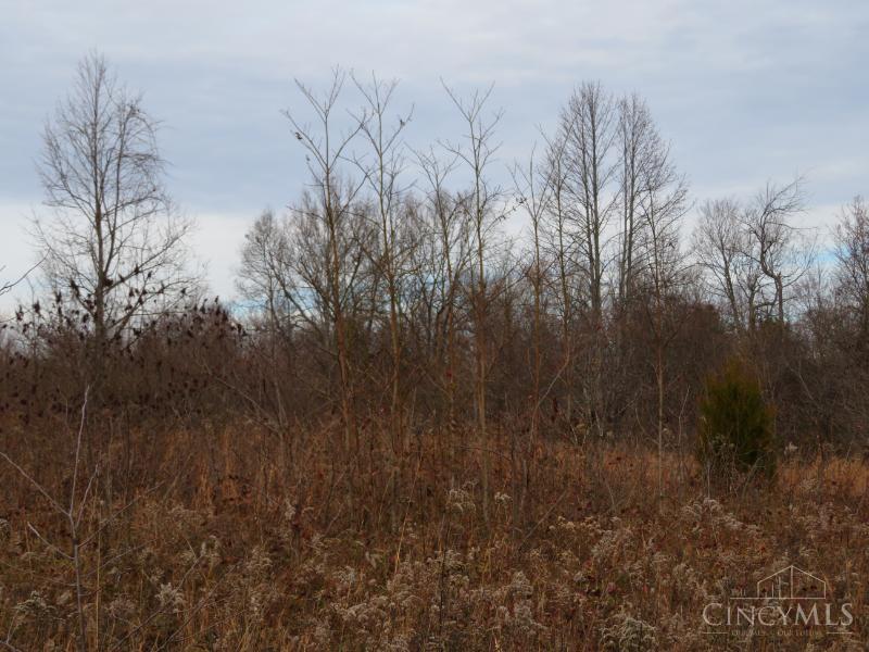7730 Beavers Ridge Road Piketon, OH 45661 - Photo 6 of 15