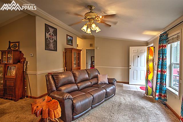 203 Red Cloud Road Florissant, CO 80816 - Photo 7 of 26