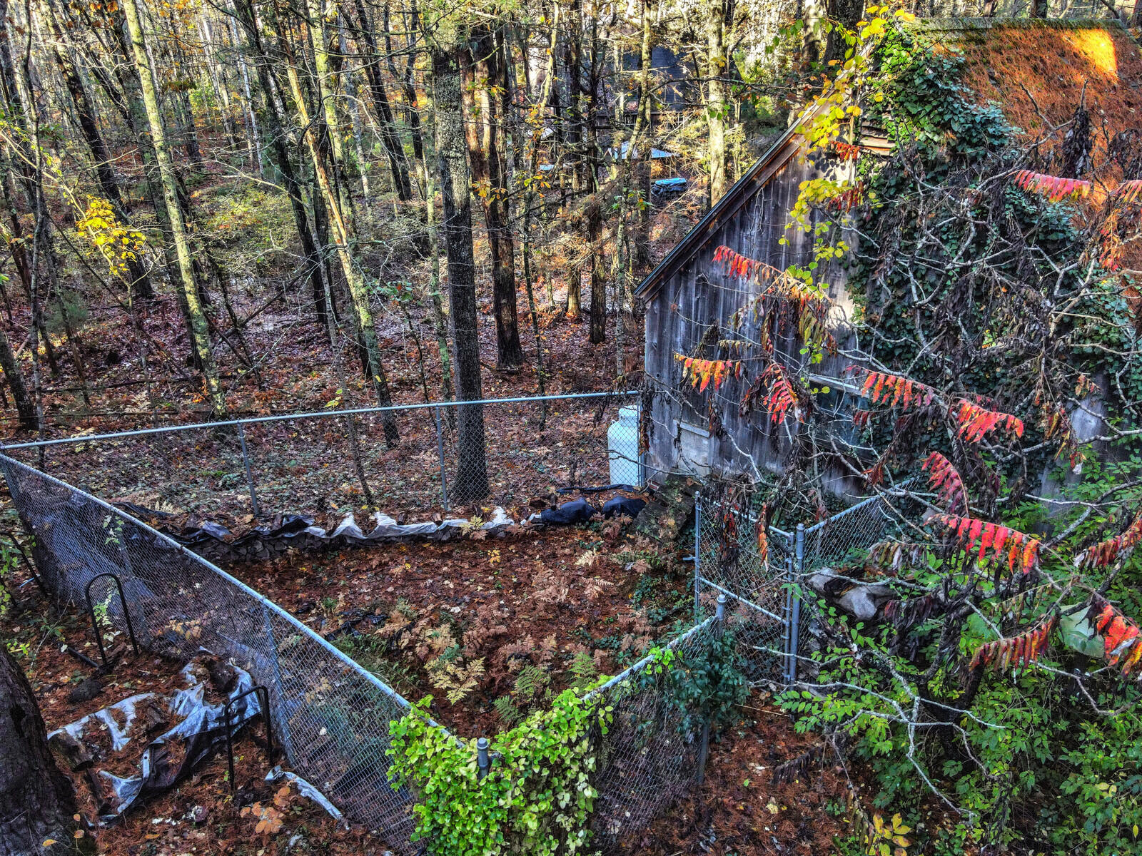 7 Woods Road Arrowsic, ME 04530 - Photo 49 of 67 21_DJI_0175_DxO_mls