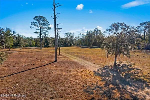 a view of a backyard