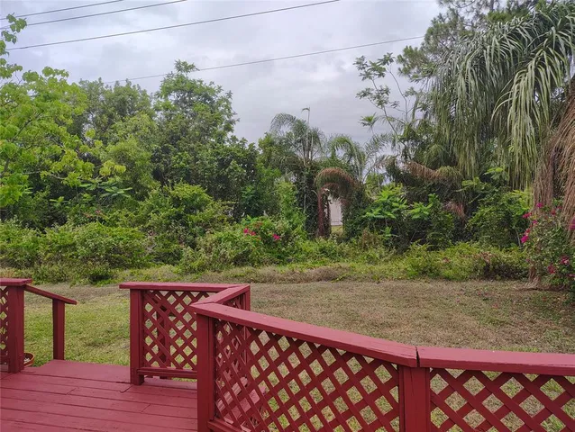 a view of a backyard with plants