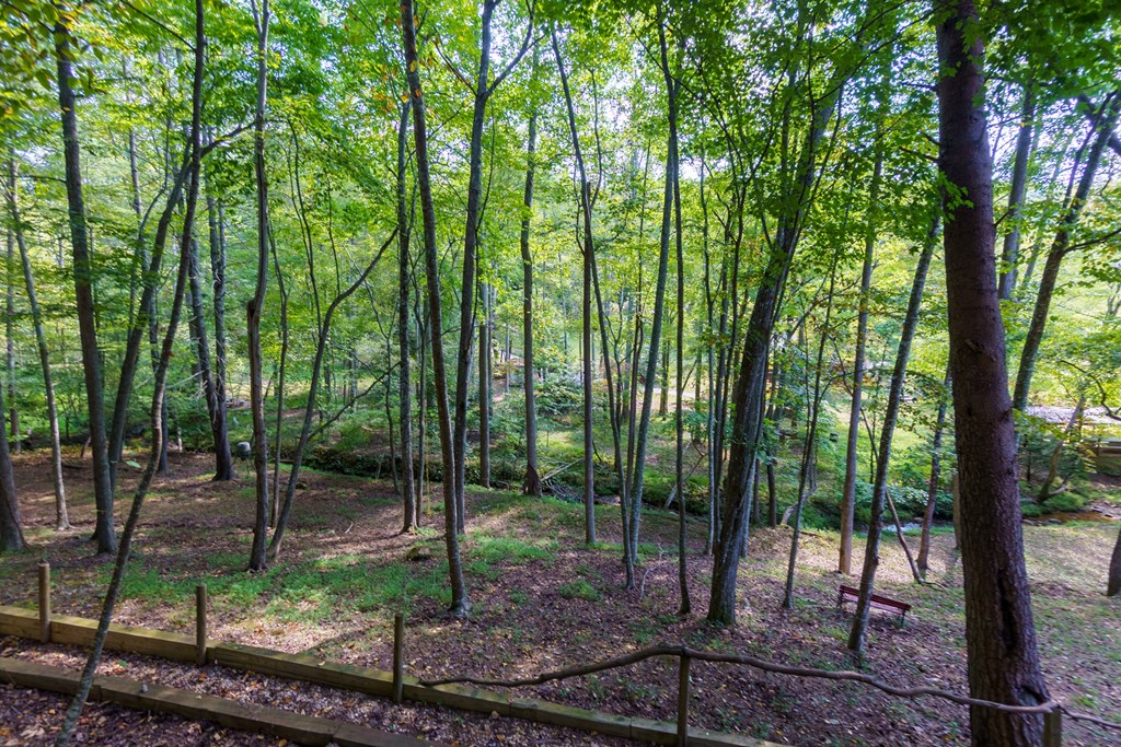 35 Wunder Bear Ridge Morganton, GA 30560 - Photo 4 of 76