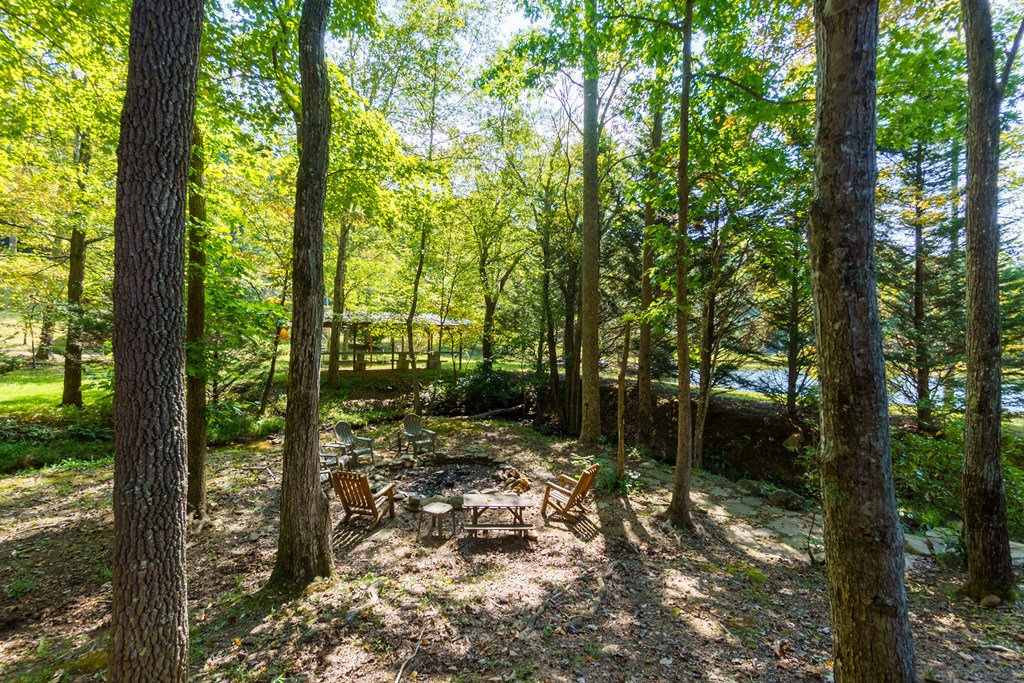 35 Wunder Bear Ridge Morganton, GA 30560 - Photo 50 of 76 a view of forest