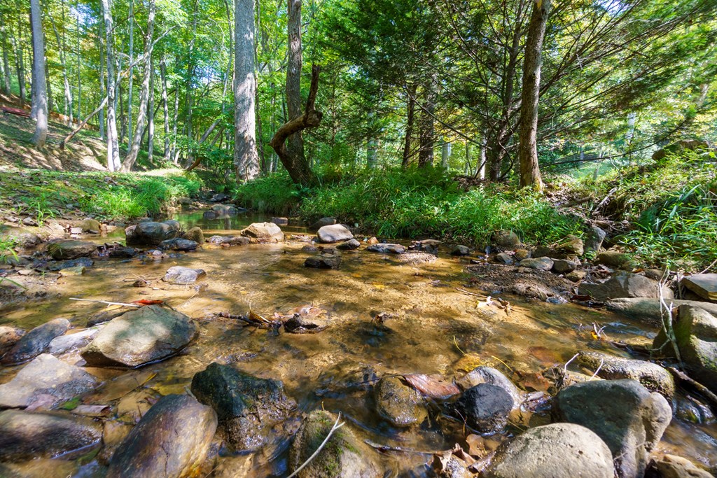 35 Wunder Bear Ridge Morganton, GA 30560 - Photo 54 of 76