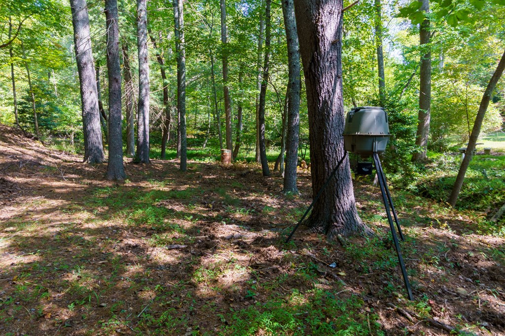 35 Wunder Bear Ridge Morganton, GA 30560 - Photo 57 of 76 a backyard of a house with table and chairs