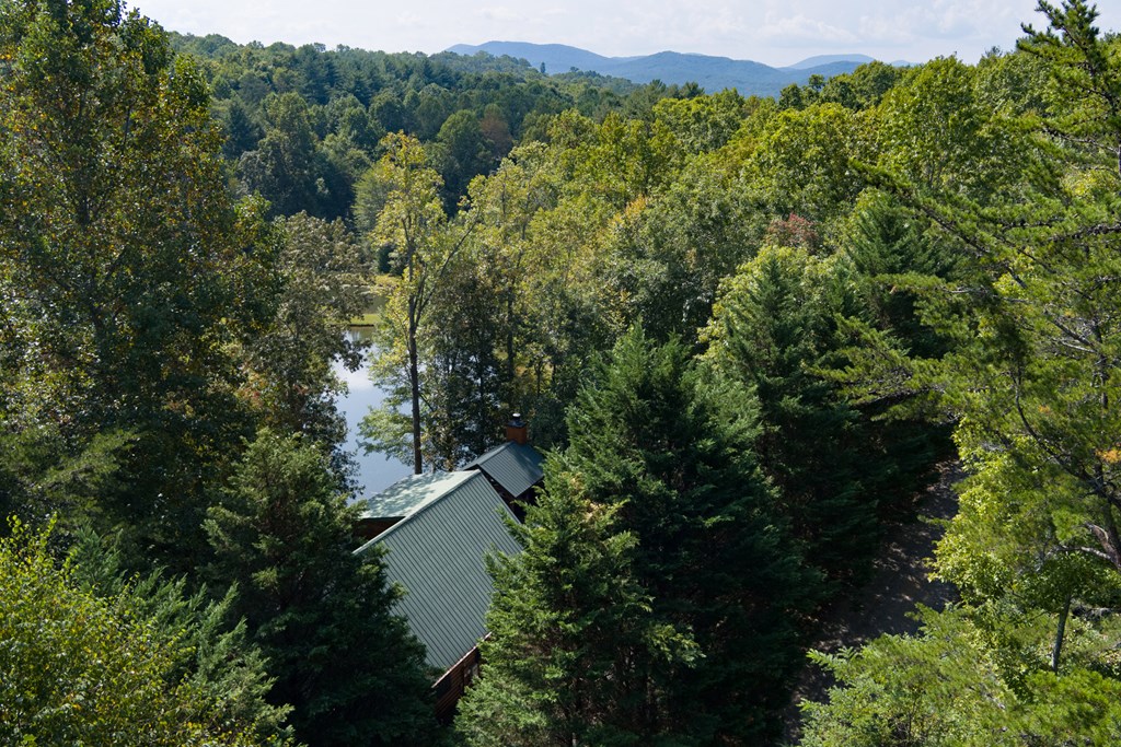 35 Wunder Bear Ridge Morganton, GA 30560 - Photo 59 of 76 an aerial view of a house with a yard