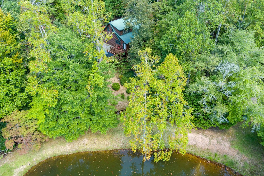 35 Wunder Bear Ridge Morganton, GA 30560 - Photo 62 of 76