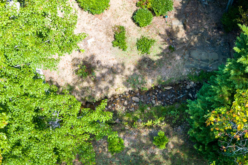 35 Wunder Bear Ridge Morganton, GA 30560 - Photo 64 of 76 a backyard of a house with a yard with outdoor seating