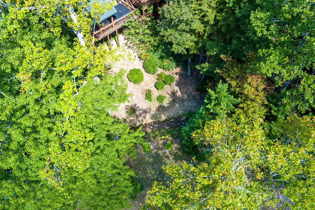 35 Wunder Bear Ridge Morganton, GA 30560 - Photo 65 of 76