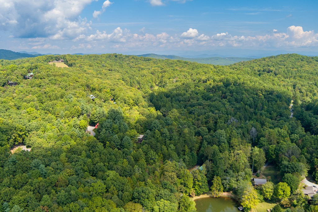35 Wunder Bear Ridge Morganton, GA 30560 - Photo 67 of 76 a view of a garden