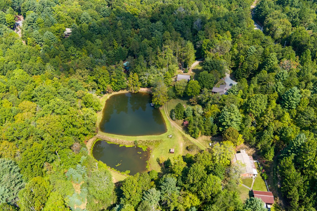 35 Wunder Bear Ridge Morganton, GA 30560 - Photo 69 of 76