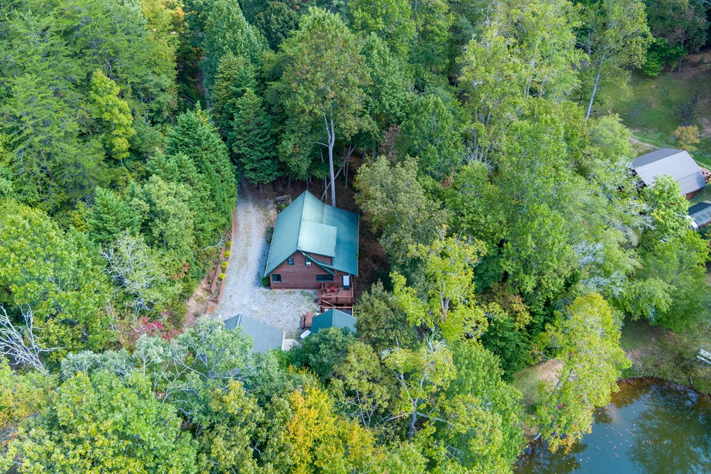 35 Wunder Bear Ridge Morganton, GA 30560 - Photo 70 of 76 a backyard of a house with wooden floor and outdoor seating