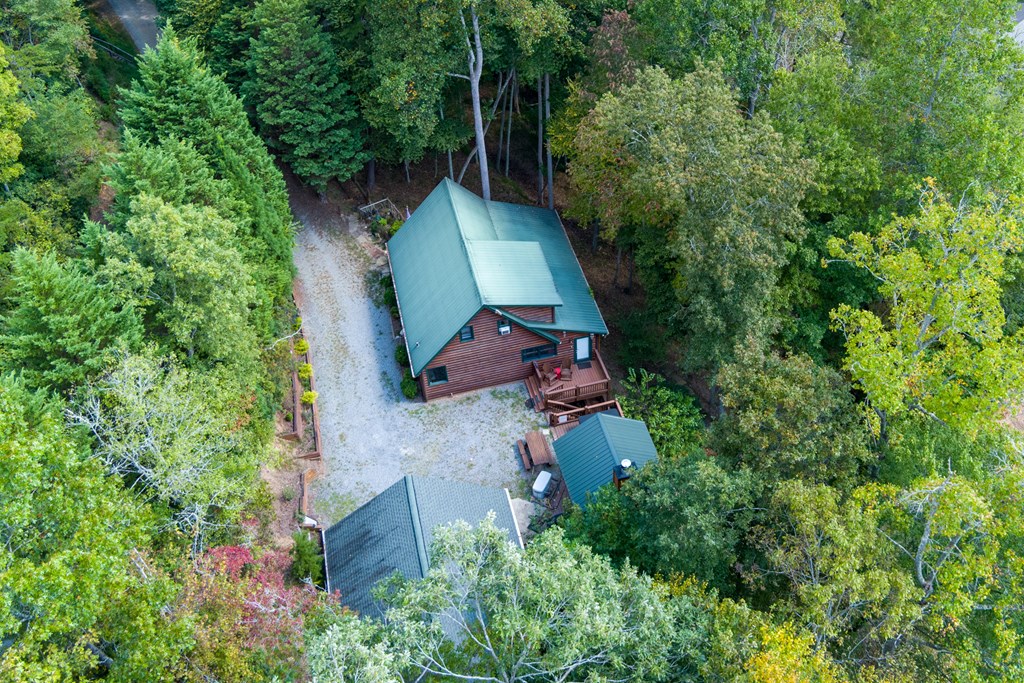 35 Wunder Bear Ridge Morganton, GA 30560 - Photo 71 of 76 an aerial view of a house with outdoor space and trees all around