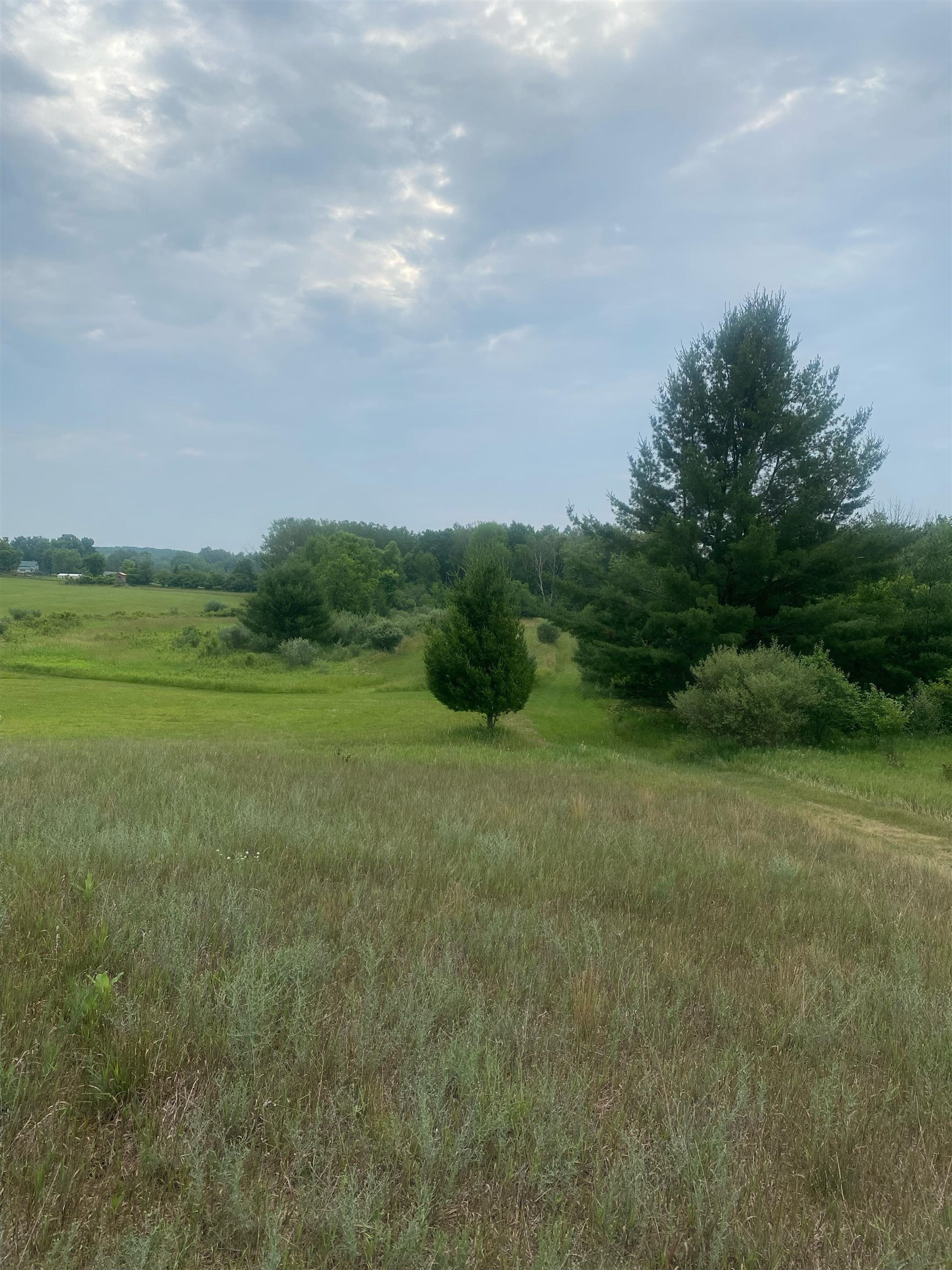 Four 4 Mile Road Evart, MI 49631 - Photo 17 of 38