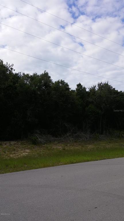 0 Southwest 143 Place Road Ocala, FL 34473 - Photo 1 of 1 0826161758