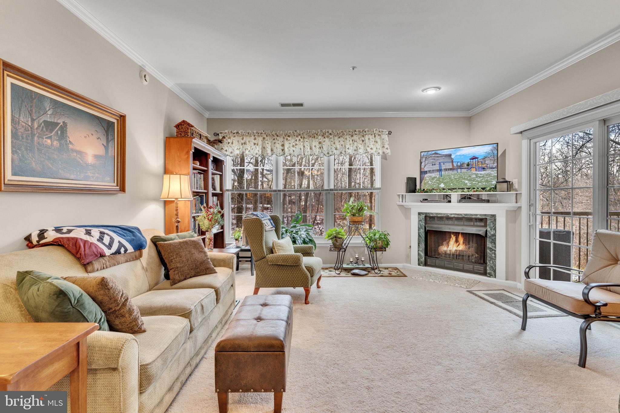 7706 Haynes Point Way, Unit 8F Alexandria, VA 22315 - Photo 3 of 36 a living room with furniture a fireplace and a large window