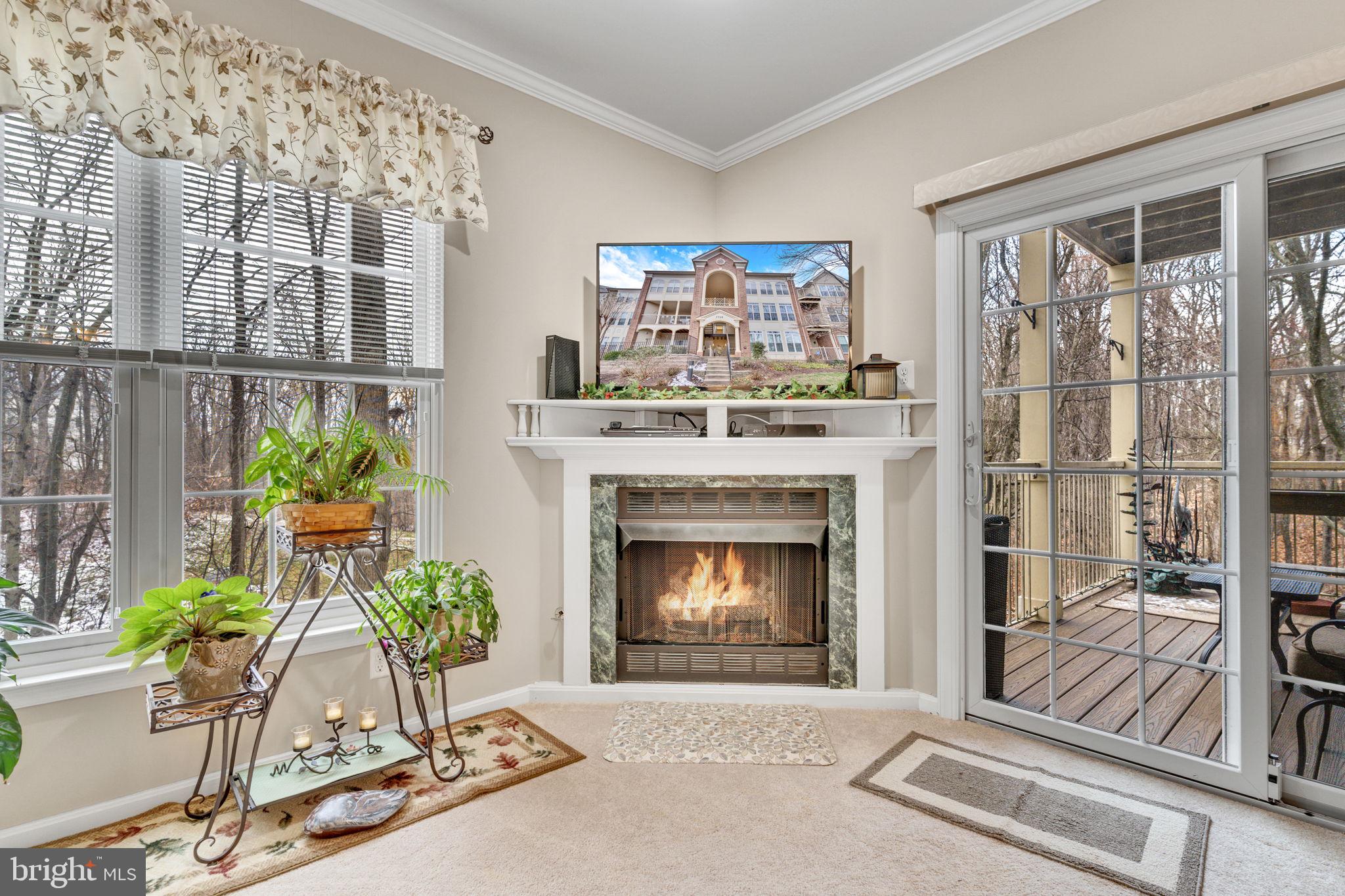 7706 Haynes Point Way, Unit 8F Alexandria, VA 22315 - Photo 4 of 36 a living room with furniture and a fireplace