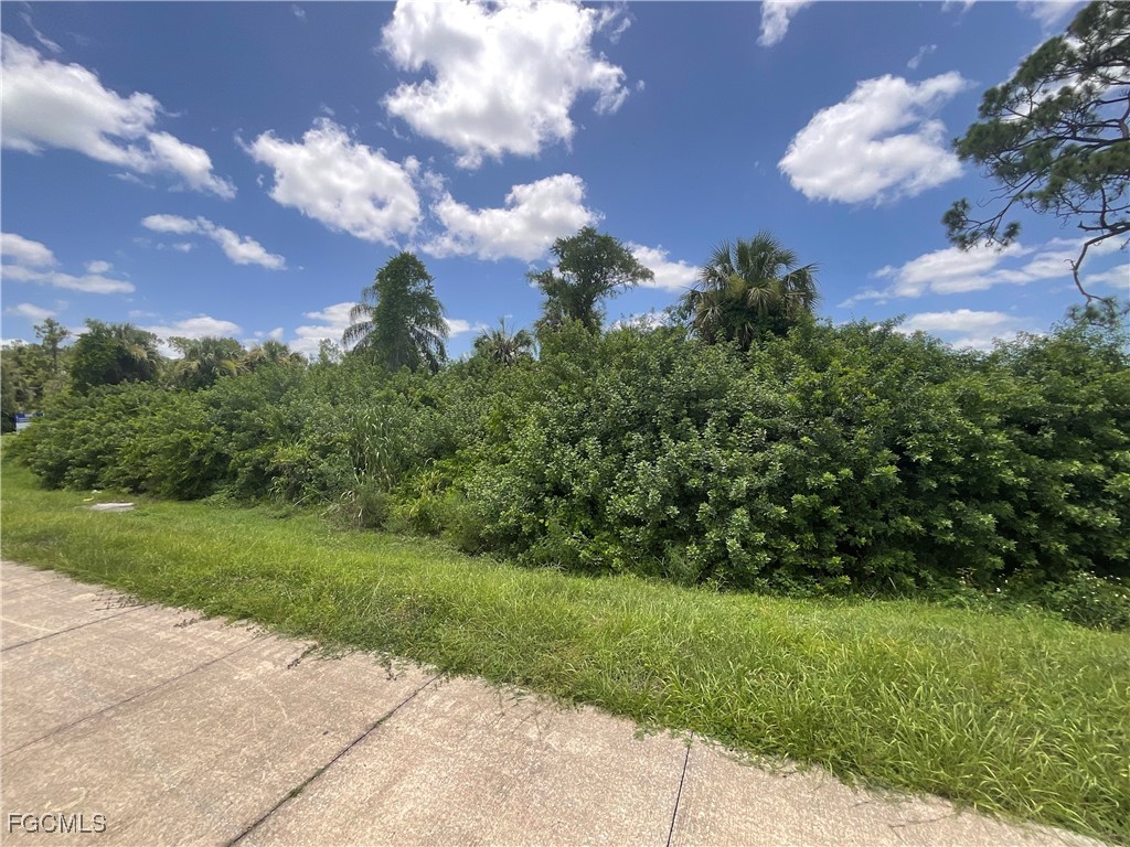 13385 Collier Boulevard Naples, FL 34119 - Photo 2 of 3 a view of a bunch of trees and sky view