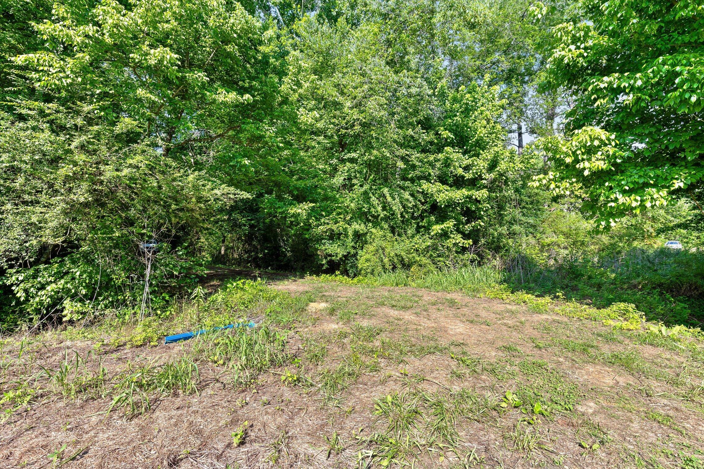 0 Hildabrand Road Ocoee, TN 37361 - Photo 34 of 46 25-Old Federal Rd-18
