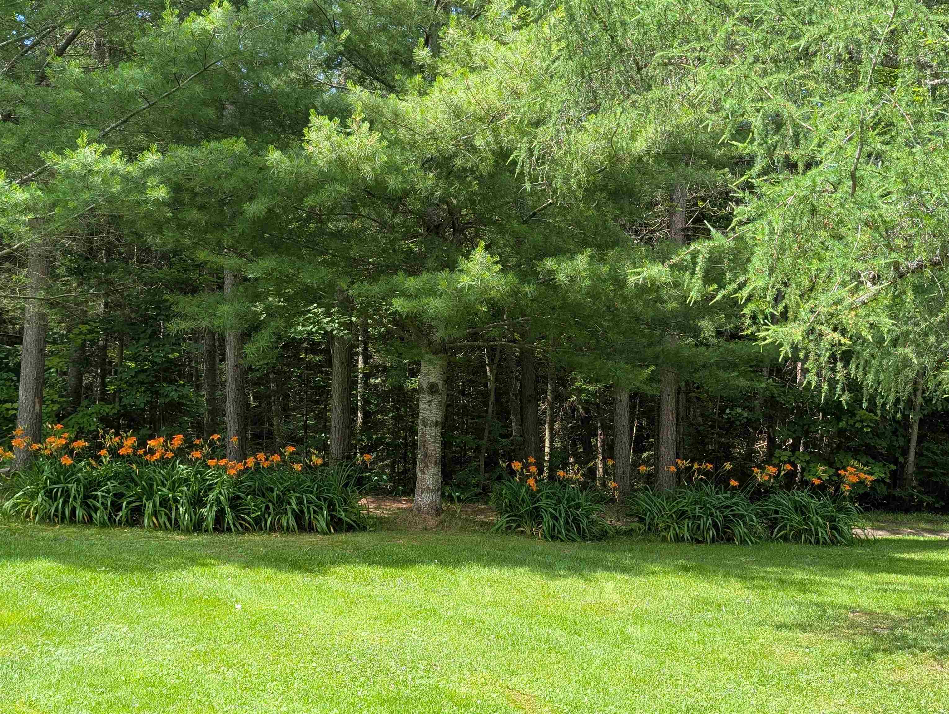 3212 Highway 114 Norton, VT 05907 - Photo 12 of 59