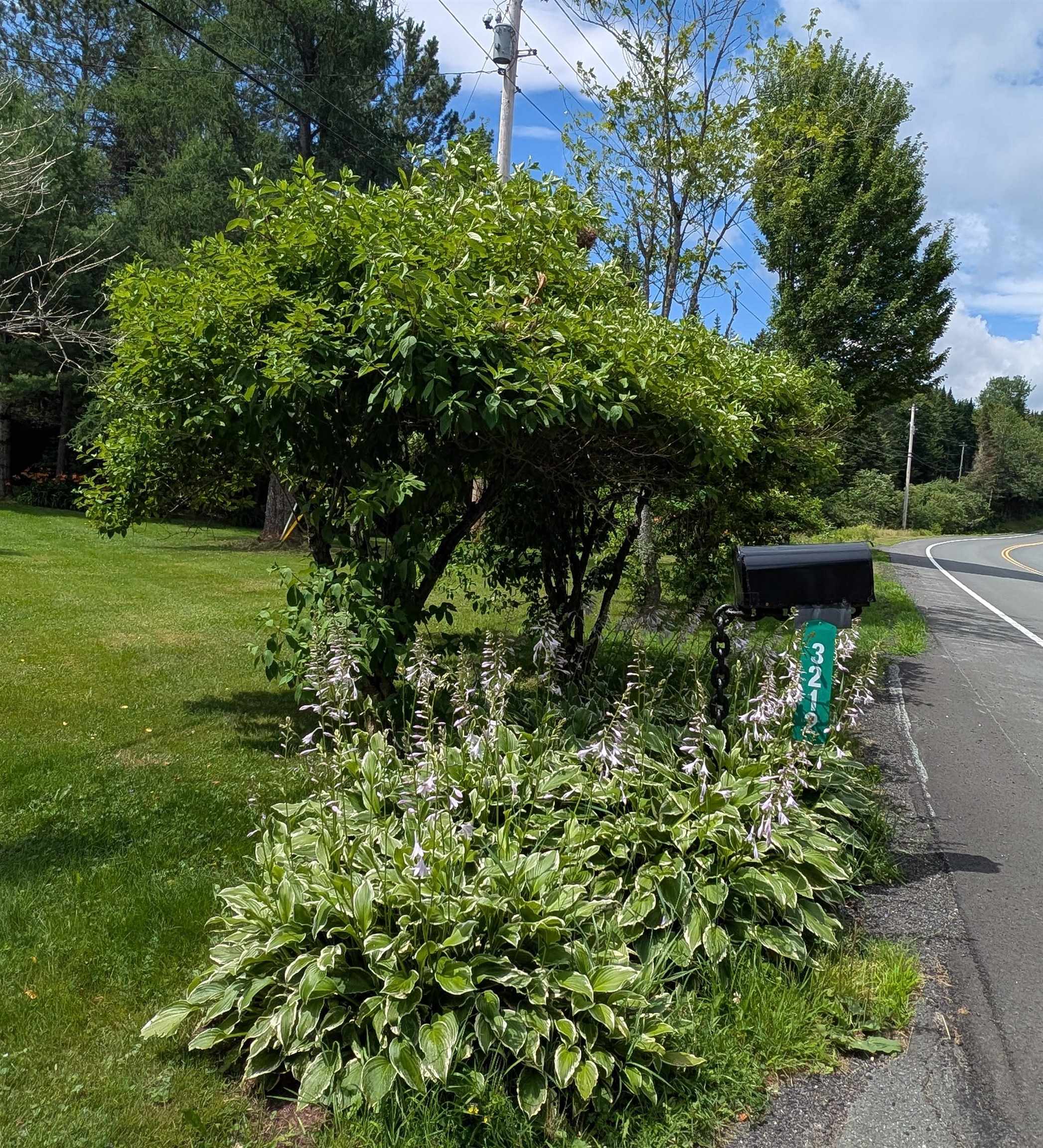 3212 Highway 114 Norton, VT 05907 - Photo 14 of 59