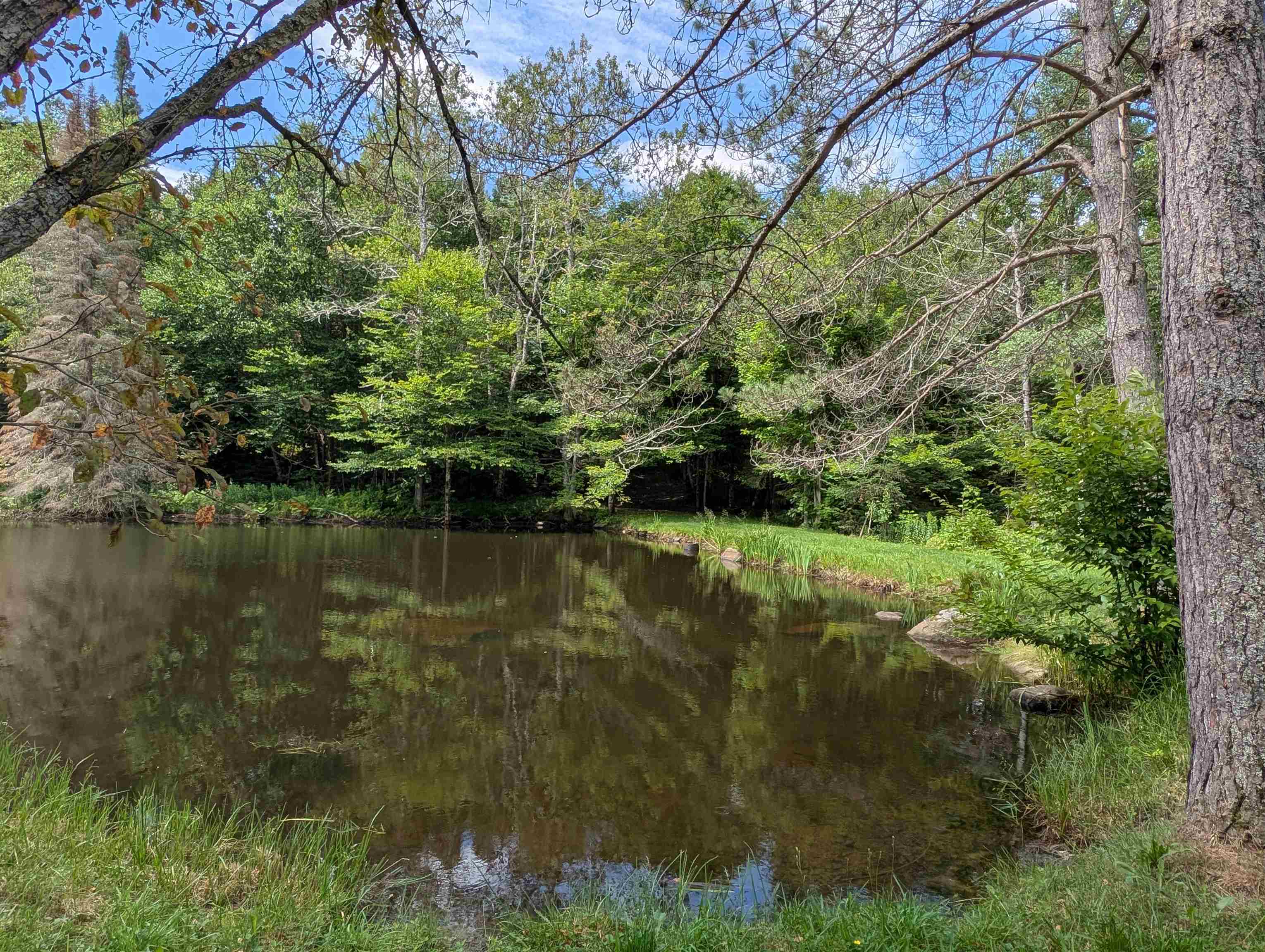 3212 Highway 114 Norton, VT 05907 - Photo 5 of 59