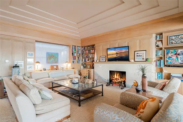 a living room with furniture fireplace and a potted plant