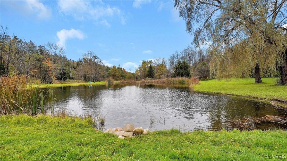 11199 Genesee Road Sardinia, NY 14055 - Photo 4 of 42