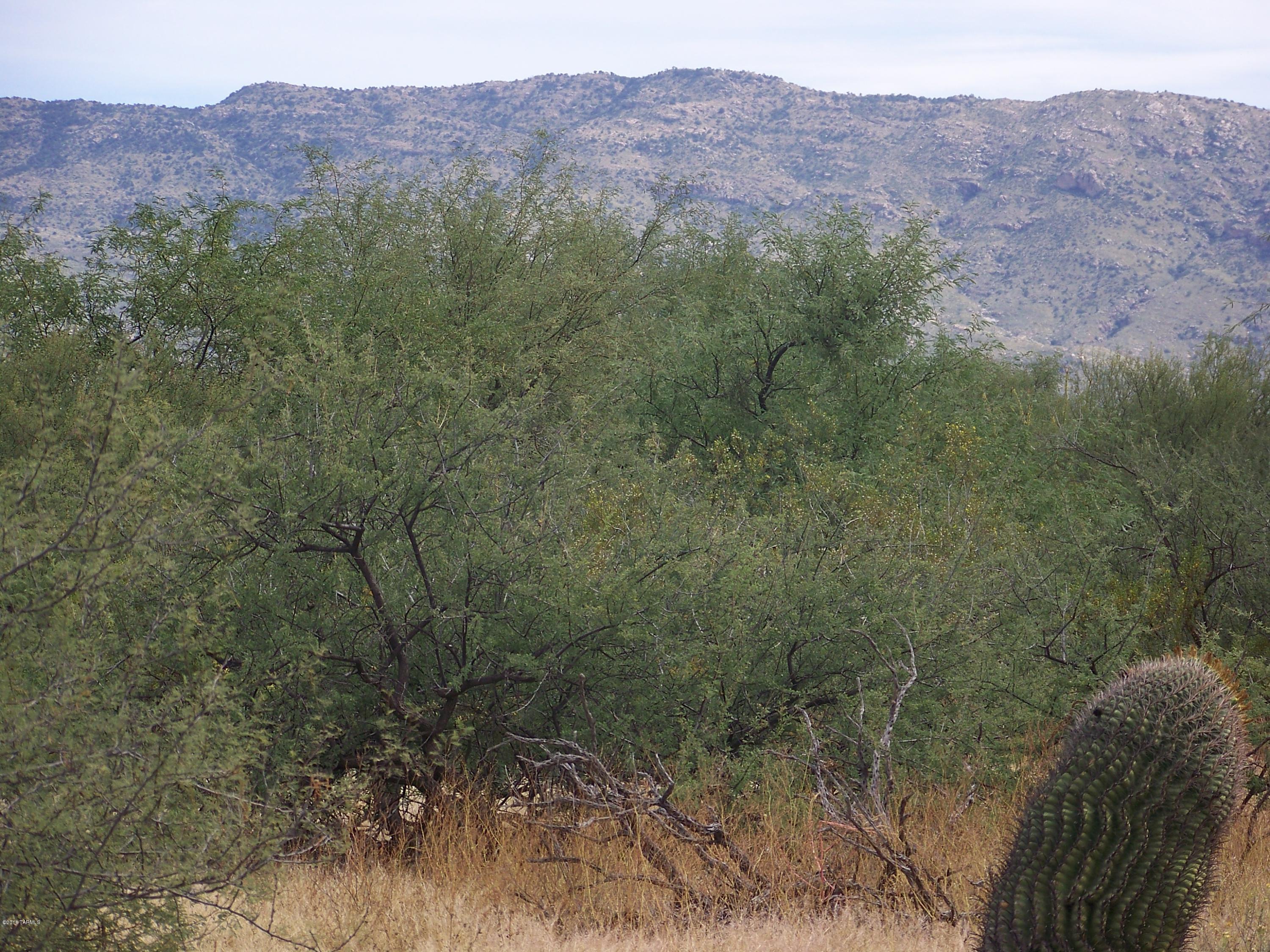 1326 North Tanque Verde Loop Road, Unit 1 Tucson, AZ 85749 - Photo 31 of 47