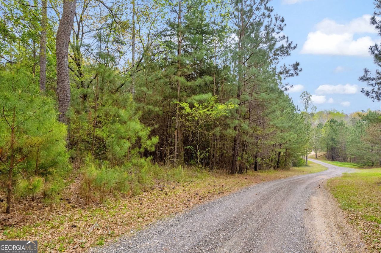 0 Lakeway Martin, GA 30557 - Photo 1 of 25