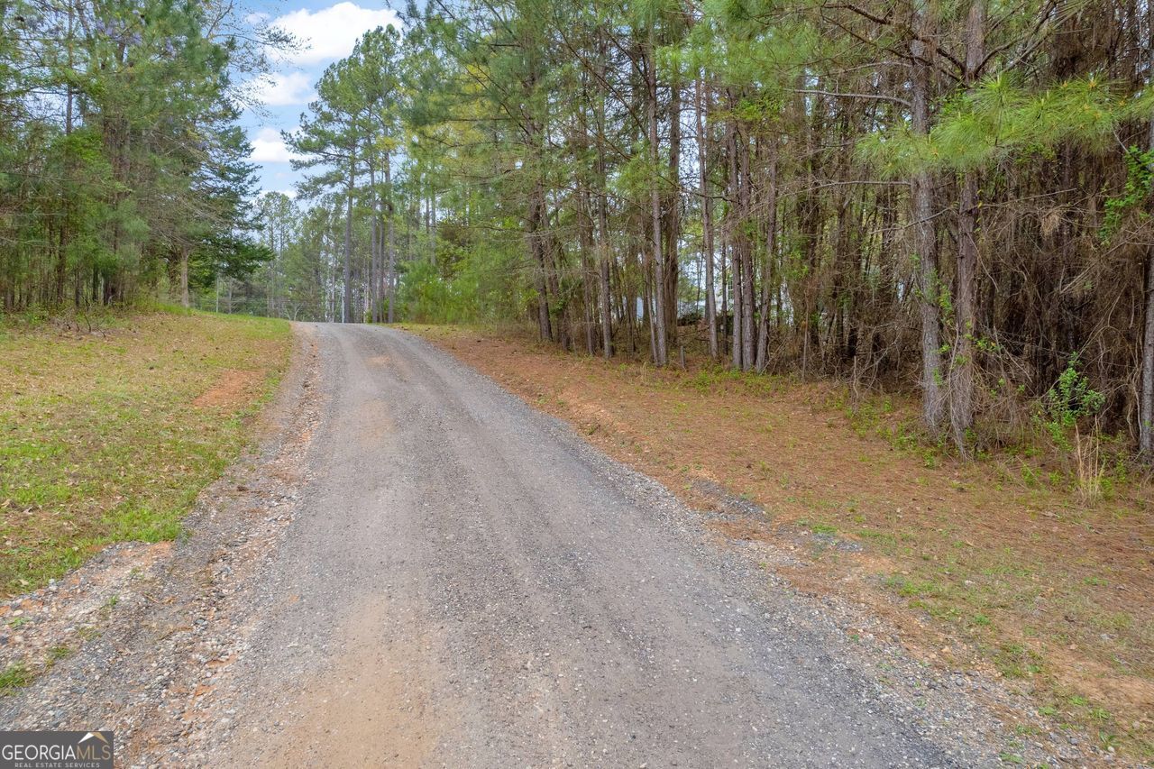 0 Lakeway Martin, GA 30557 - Photo 11 of 25