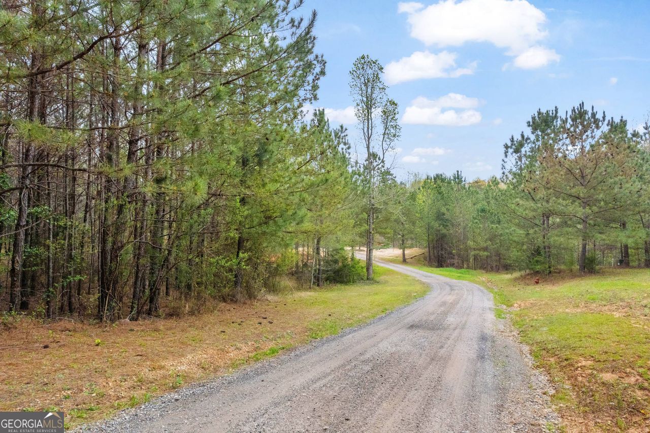 0 Lakeway Martin, GA 30557 - Photo 12 of 25