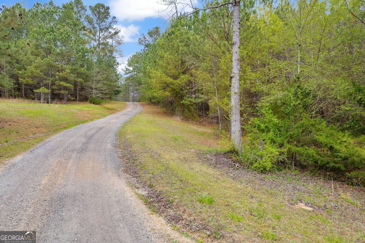0 Lakeway Martin, GA 30557 - Photo 13 of 25