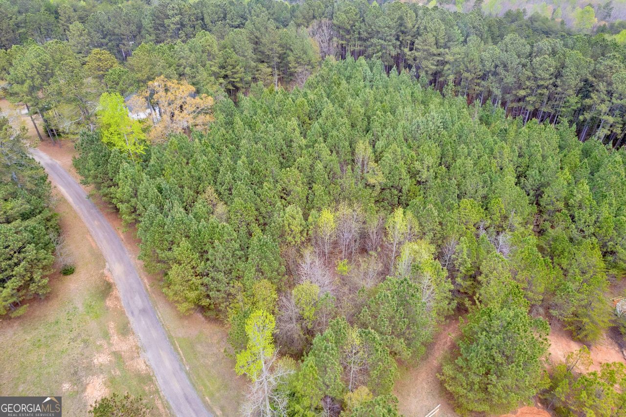 0 Lakeway Martin, GA 30557 - Photo 14 of 25