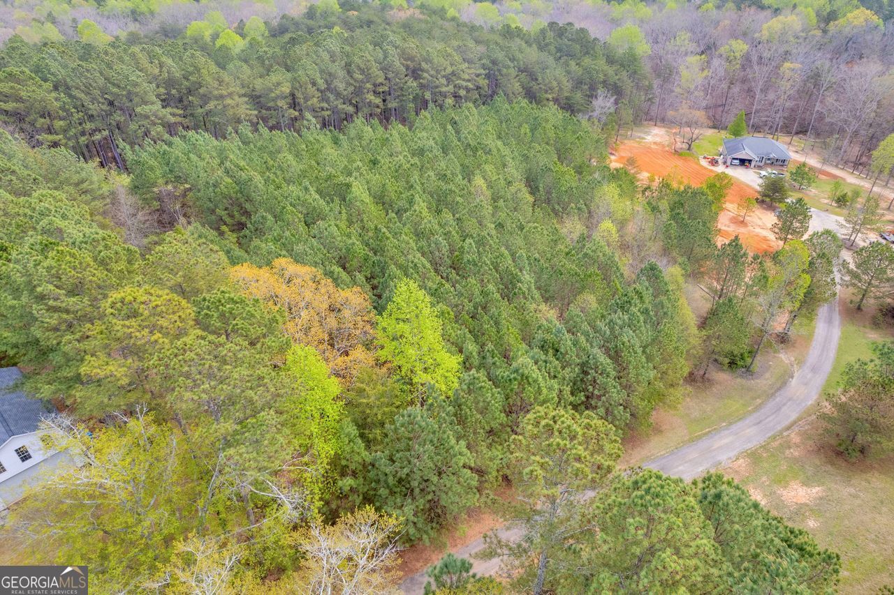 0 Lakeway Martin, GA 30557 - Photo 15 of 25