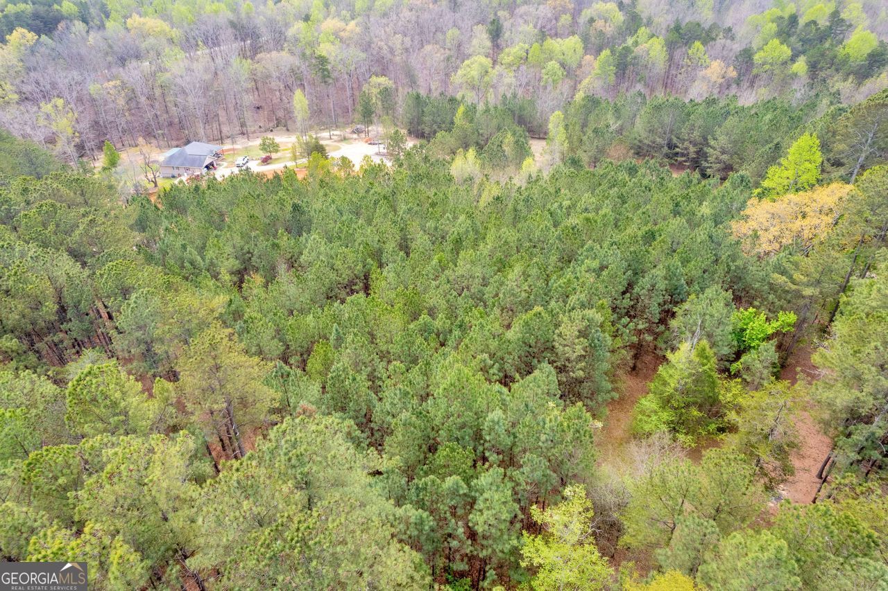 0 Lakeway Martin, GA 30557 - Photo 16 of 25