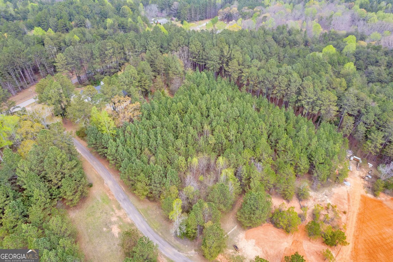 0 Lakeway Martin, GA 30557 - Photo 18 of 25