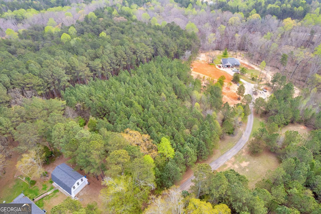 0 Lakeway Martin, GA 30557 - Photo 19 of 25