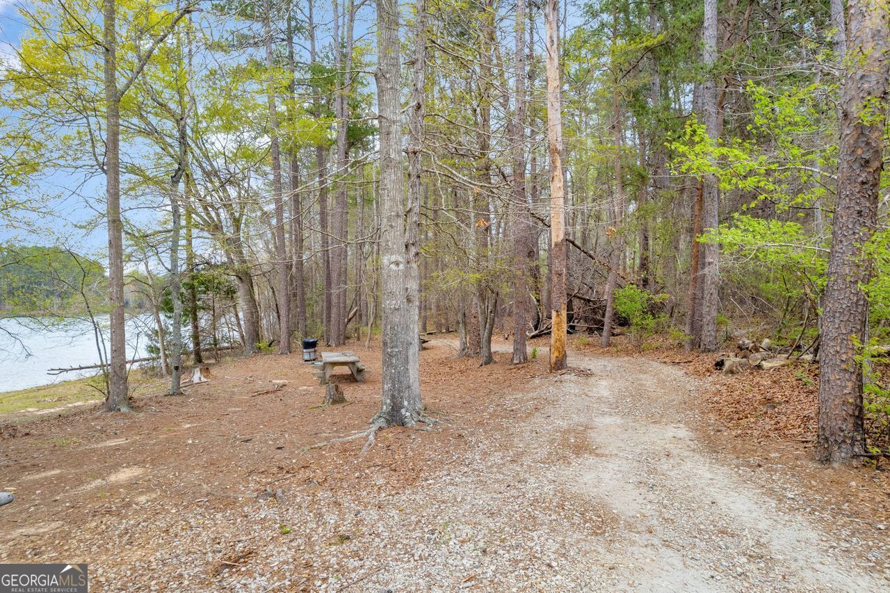 0 Lakeway Martin, GA 30557 - Photo 22 of 25