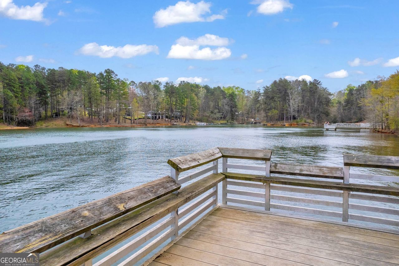 0 Lakeway Martin, GA 30557 - Photo 24 of 25