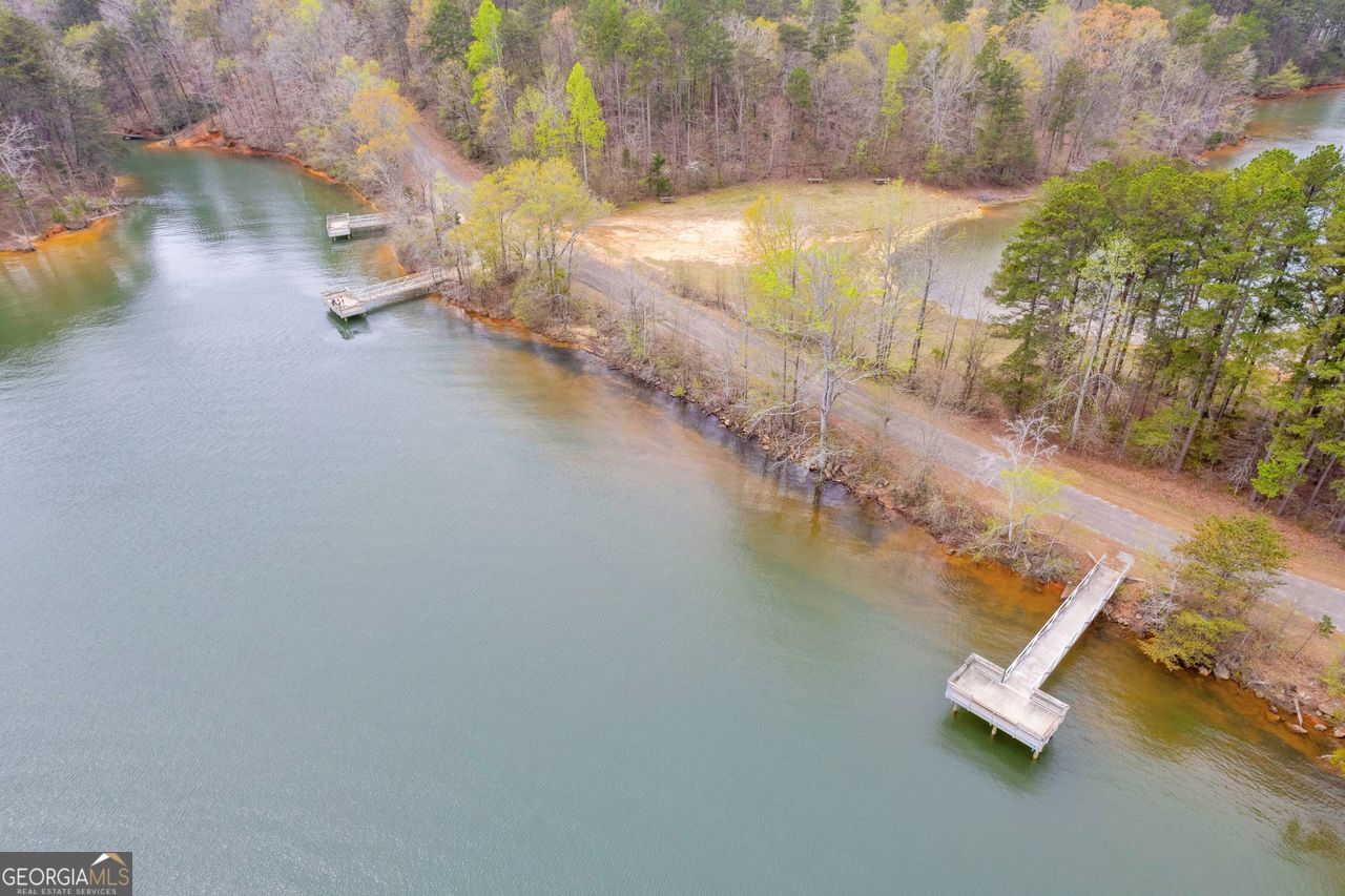0 Lakeway Martin, GA 30557 - Photo 3 of 25