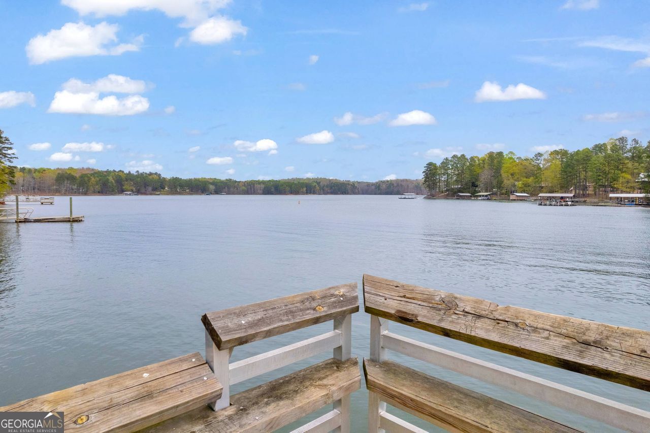 0 Lakeway Martin, GA 30557 - Photo 5 of 25