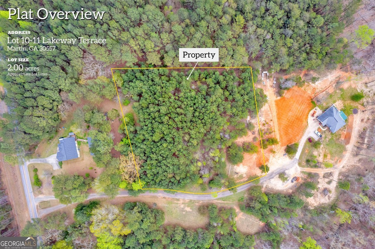 0 Lakeway Martin, GA 30557 - Photo 6 of 25