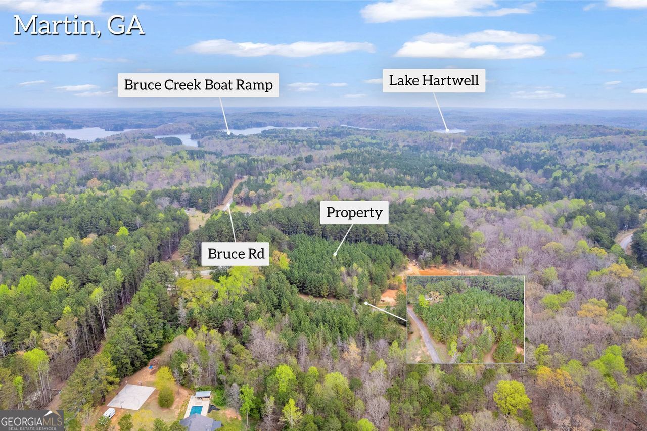 0 Lakeway Martin, GA 30557 - Photo 9 of 25