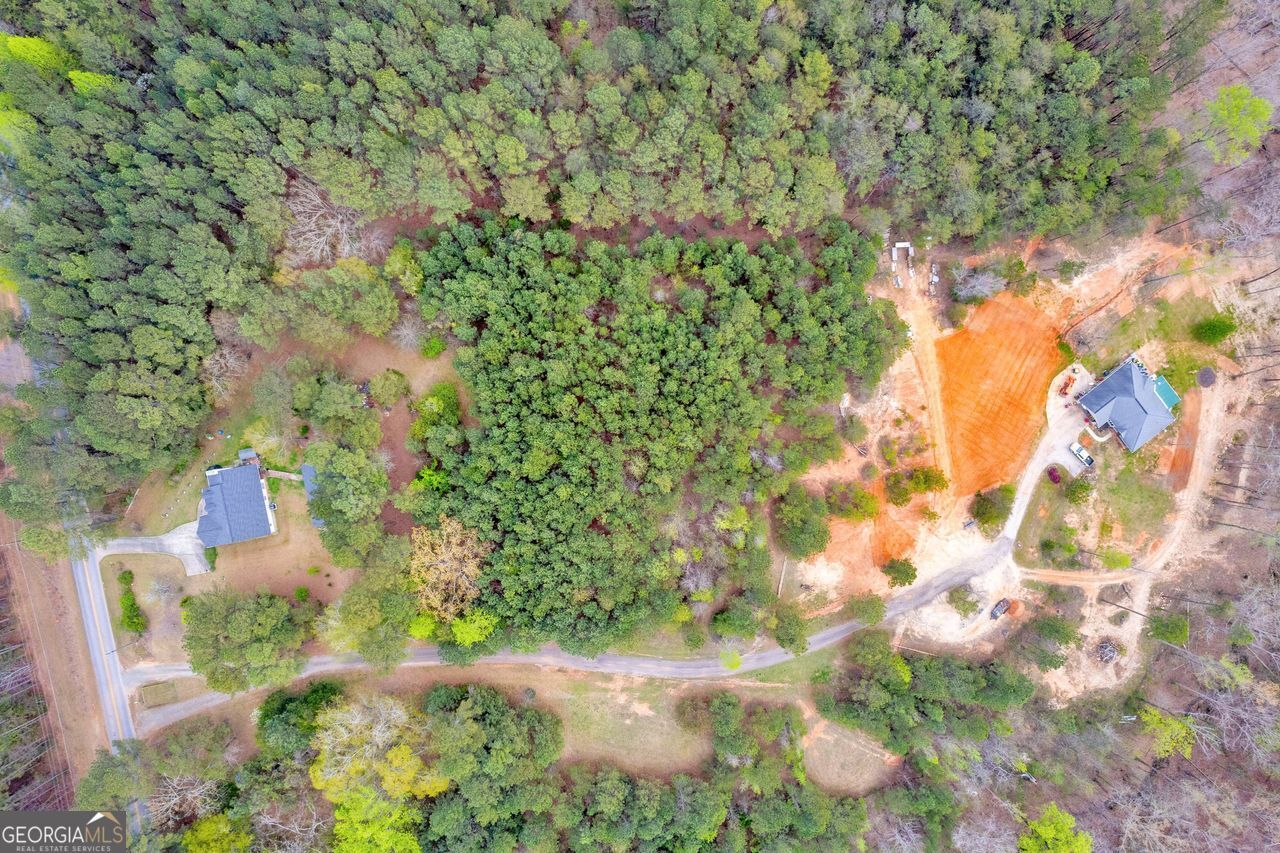 0 Lakeway Martin, GA 30557 - Photo 10 of 25