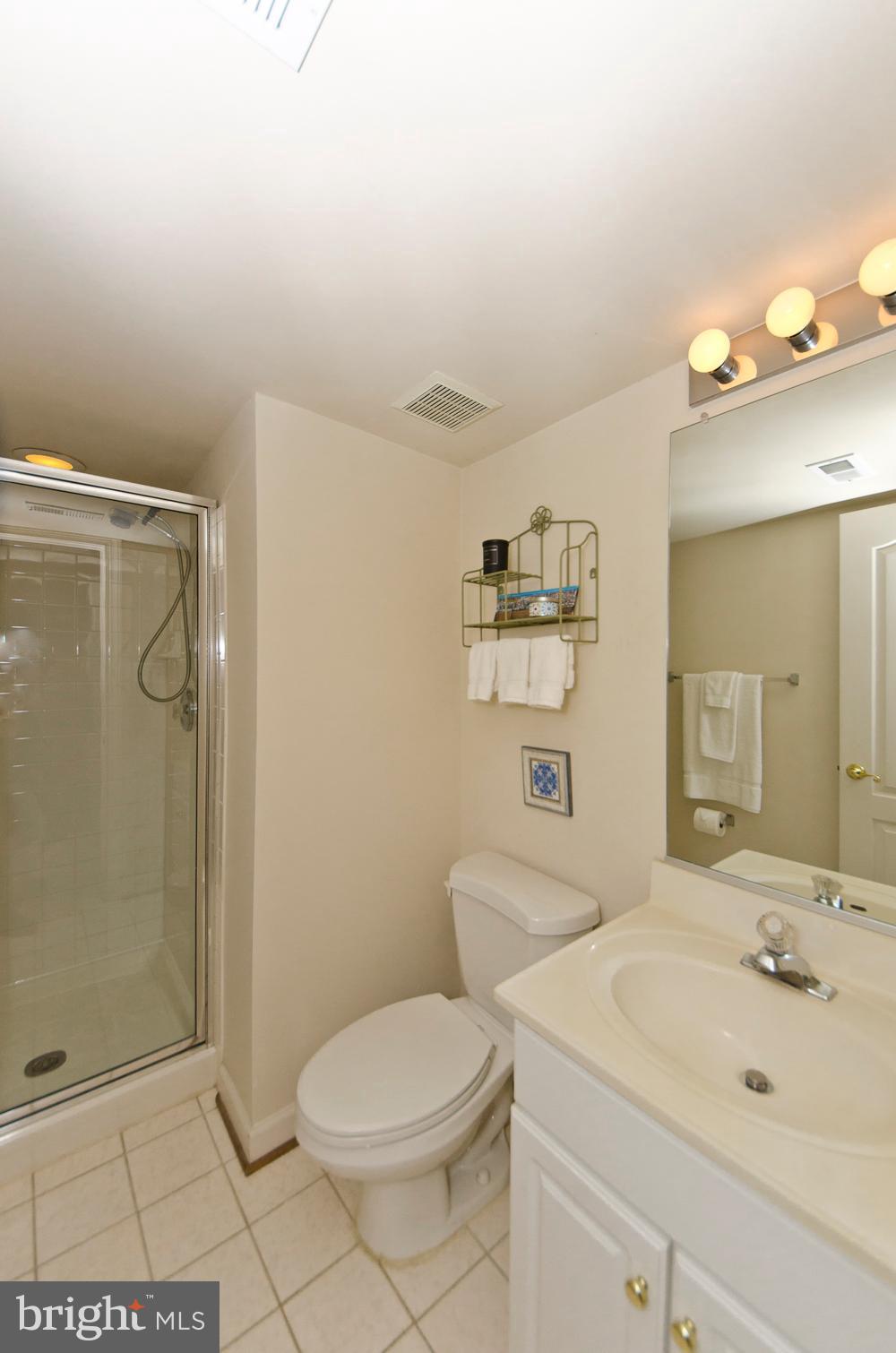 158 Rees Place Falls Church, VA 22046 - Photo 34 of 37 Lower Level Bath