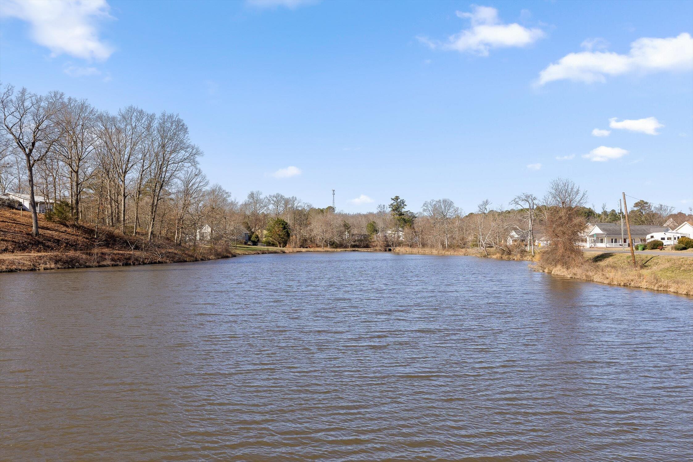 41 Timberidge Drive Chatsworth, GA 30705 - Photo 28 of 29 View of pond nearby