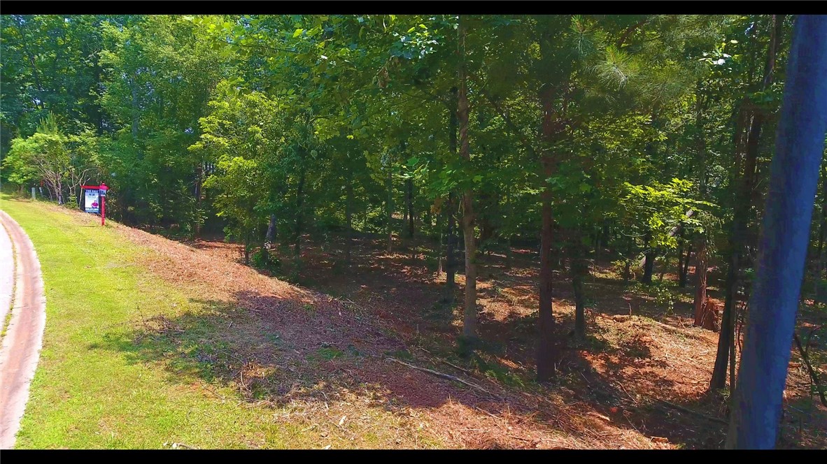 Lot 13 Waterford Ridge Seneca, SC 29672 - Photo 11 of 42 Gallery Image 11