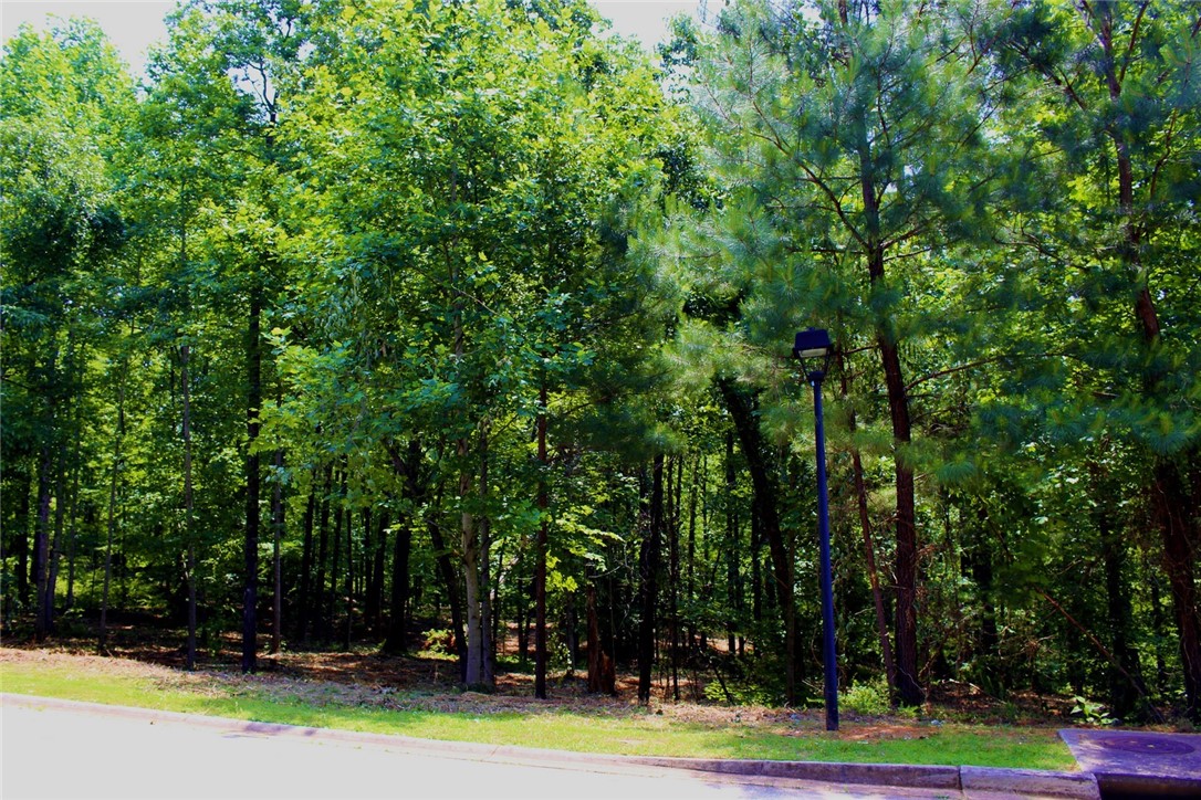 Lot 13 Waterford Ridge Seneca, SC 29672 - Photo 15 of 42 Gallery Image 15