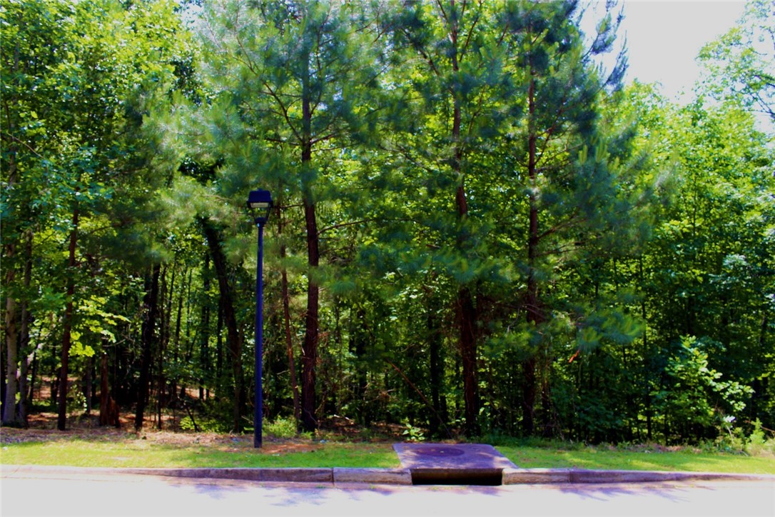 Lot 13 Waterford Ridge Seneca, SC 29672 - Photo 16 of 42 Gallery Image 16